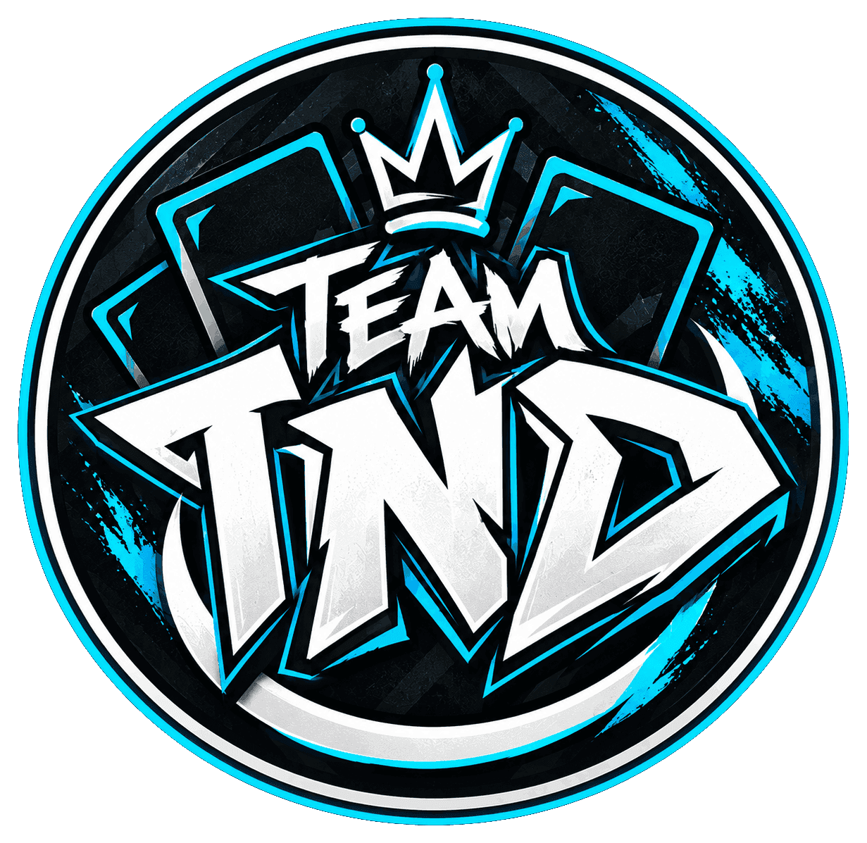 Logo TheNextDash